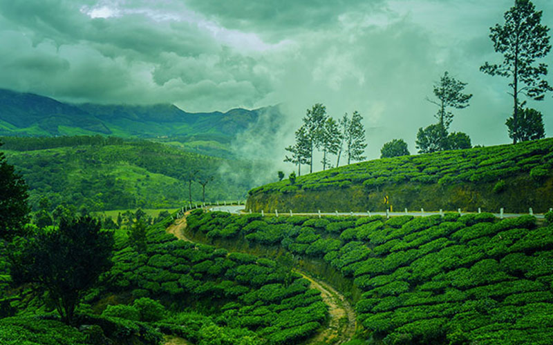 Munnar
